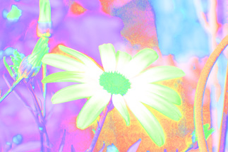 TeensPhotoshop